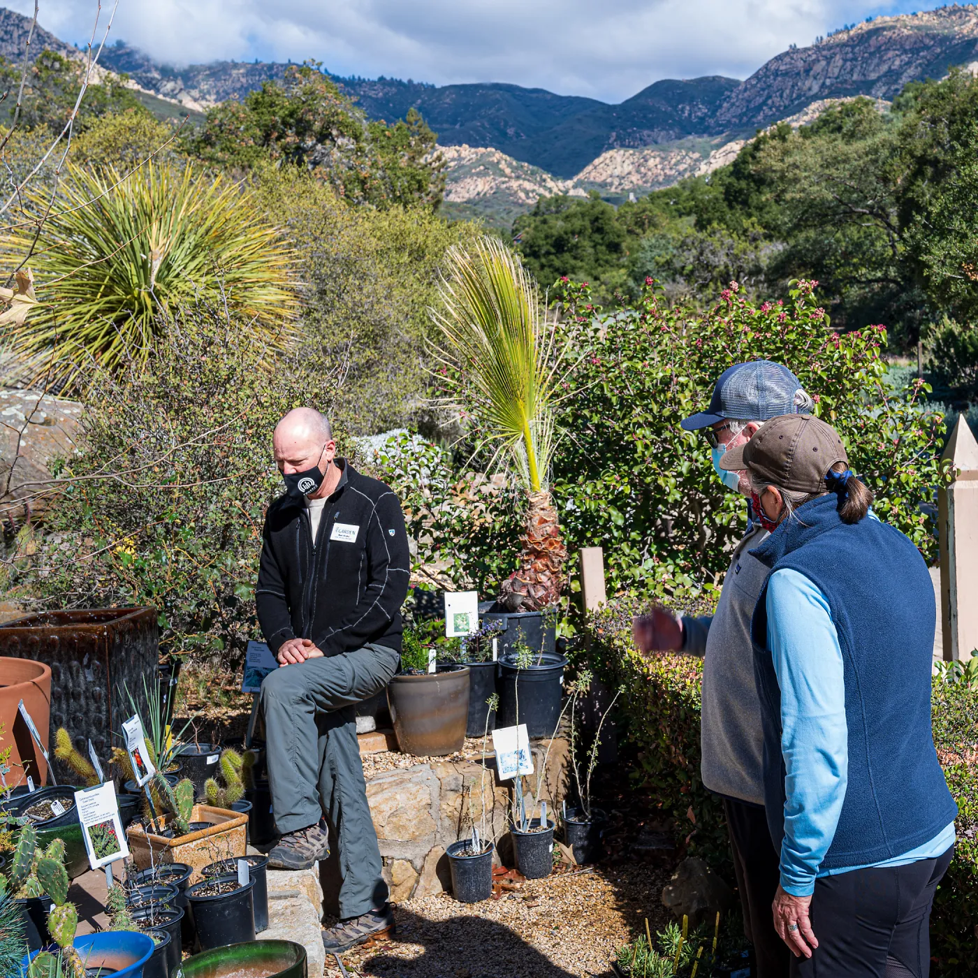 Face Coverings in the Garden