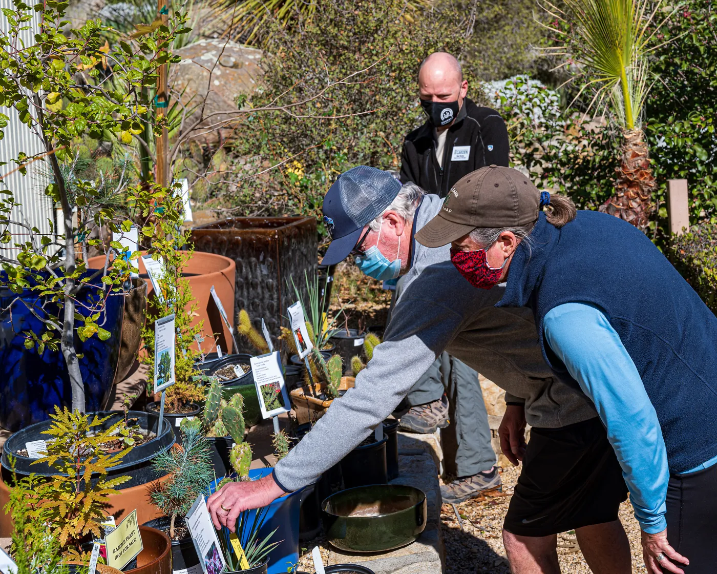 Face Coverings in the Garden
