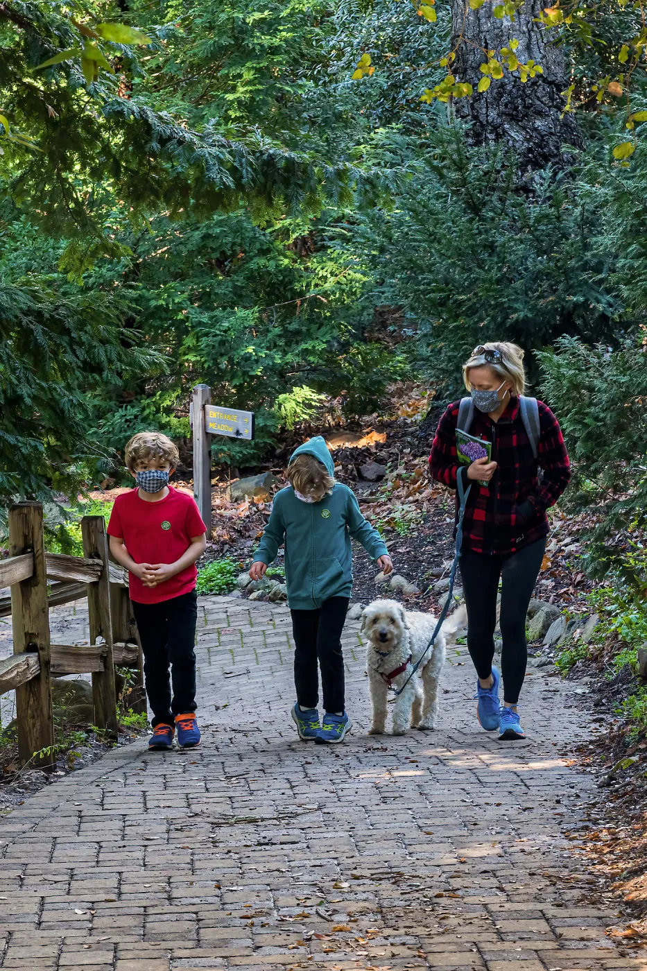 Face Coverings in the Garden