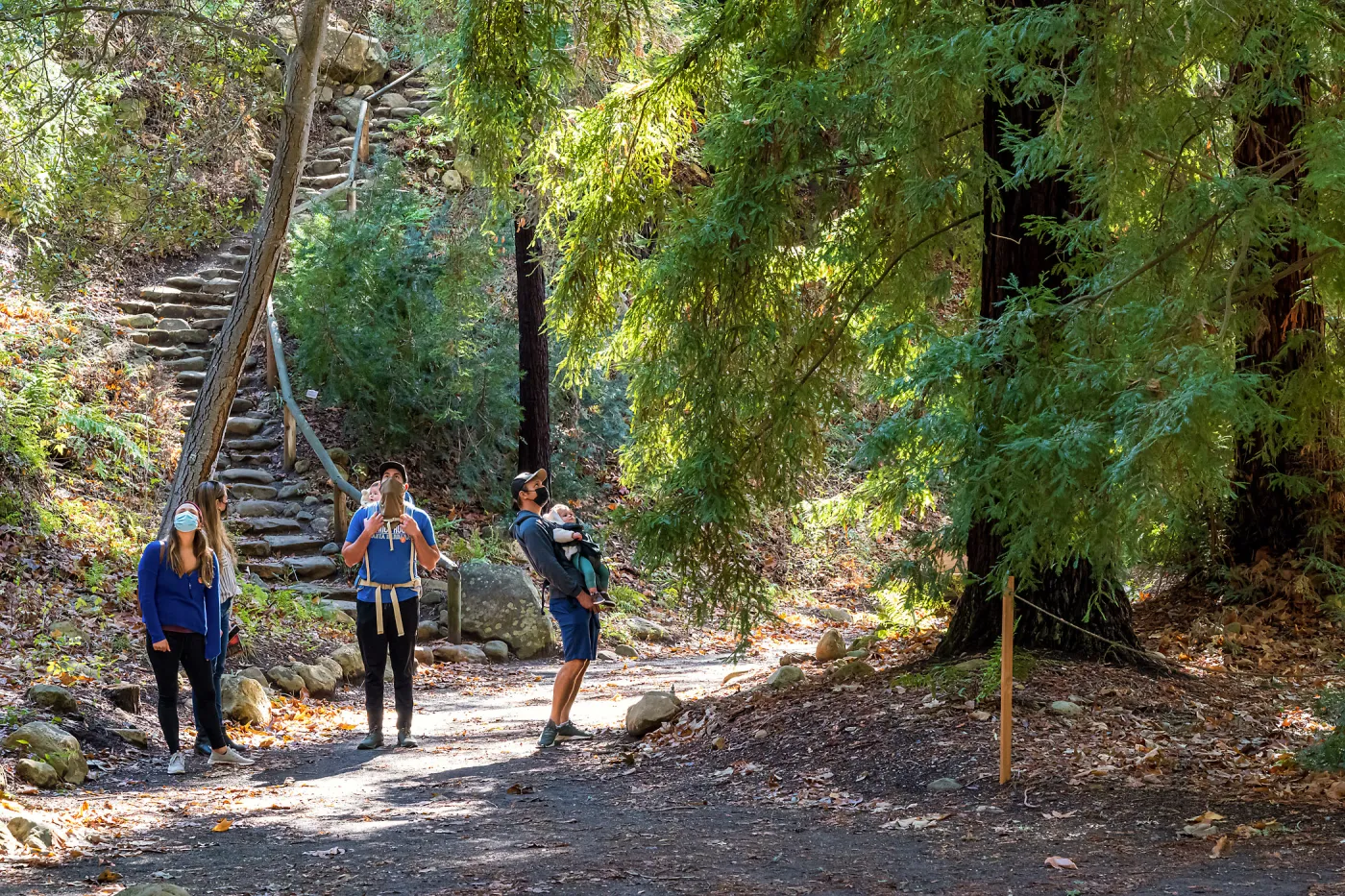 Face Coverings in the Garden