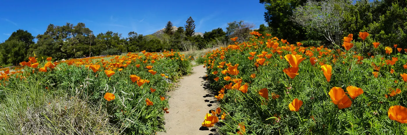 View from 2021 Meadow photo spot