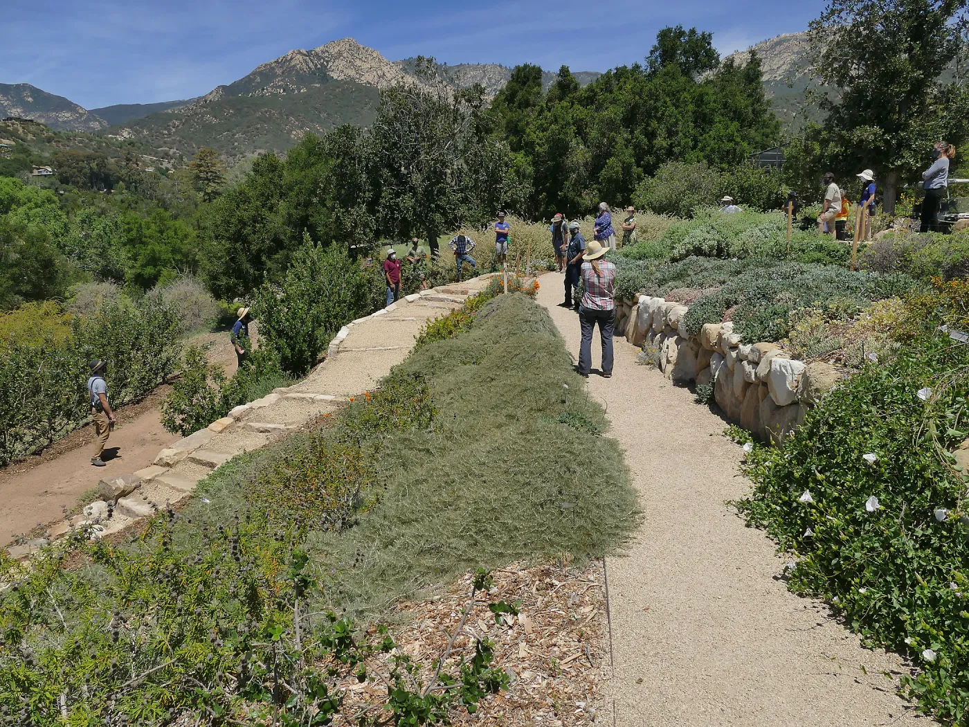 Ribbon cutting for the opening of the new stone staircase in the Island Transect Display built by Jacob Cobian
