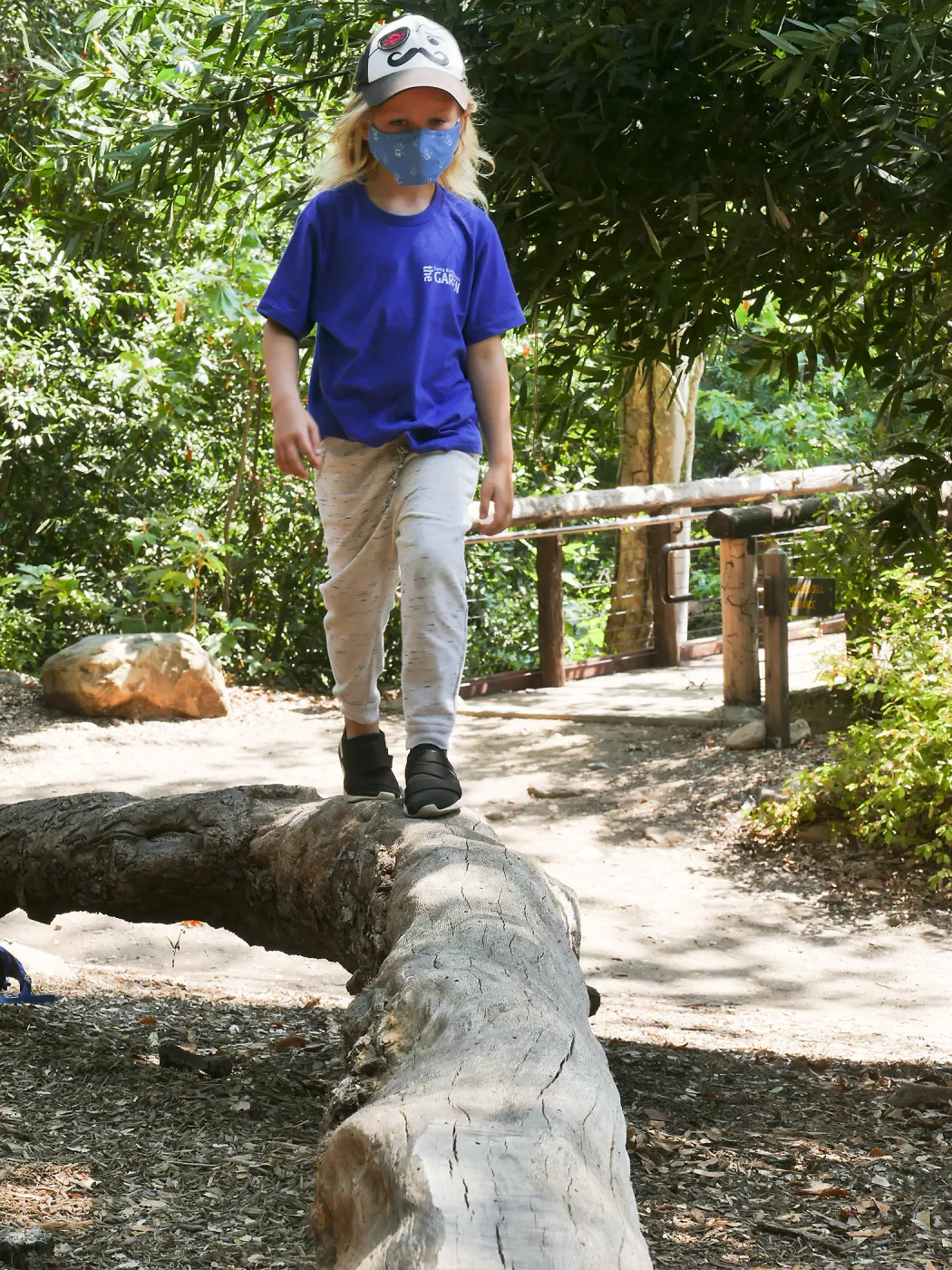 Acorn Adventurers Summer Camp at the climbing logs