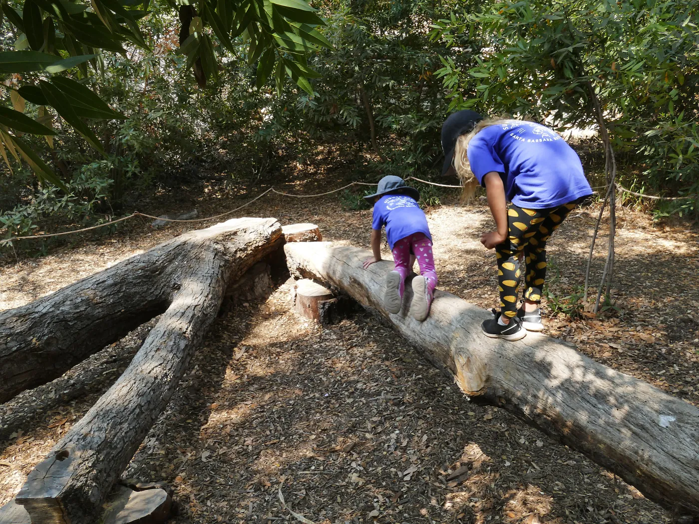 Acorn Adventurers Summer Camp at the climbing logs