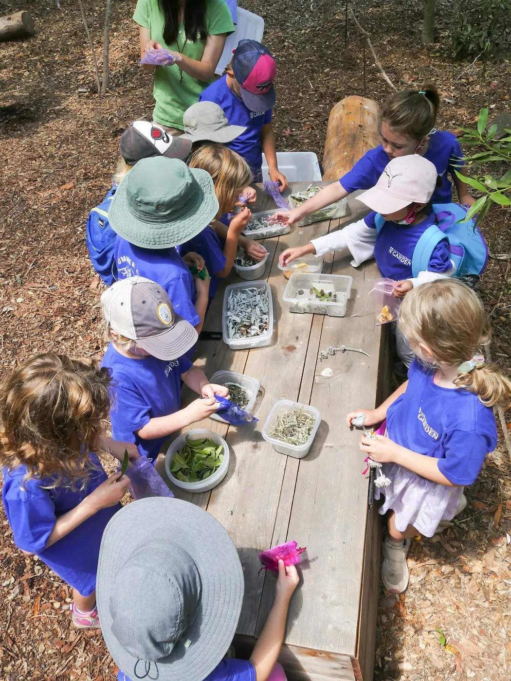 Acorn Adventurers Summer Camp Potpourri Activity