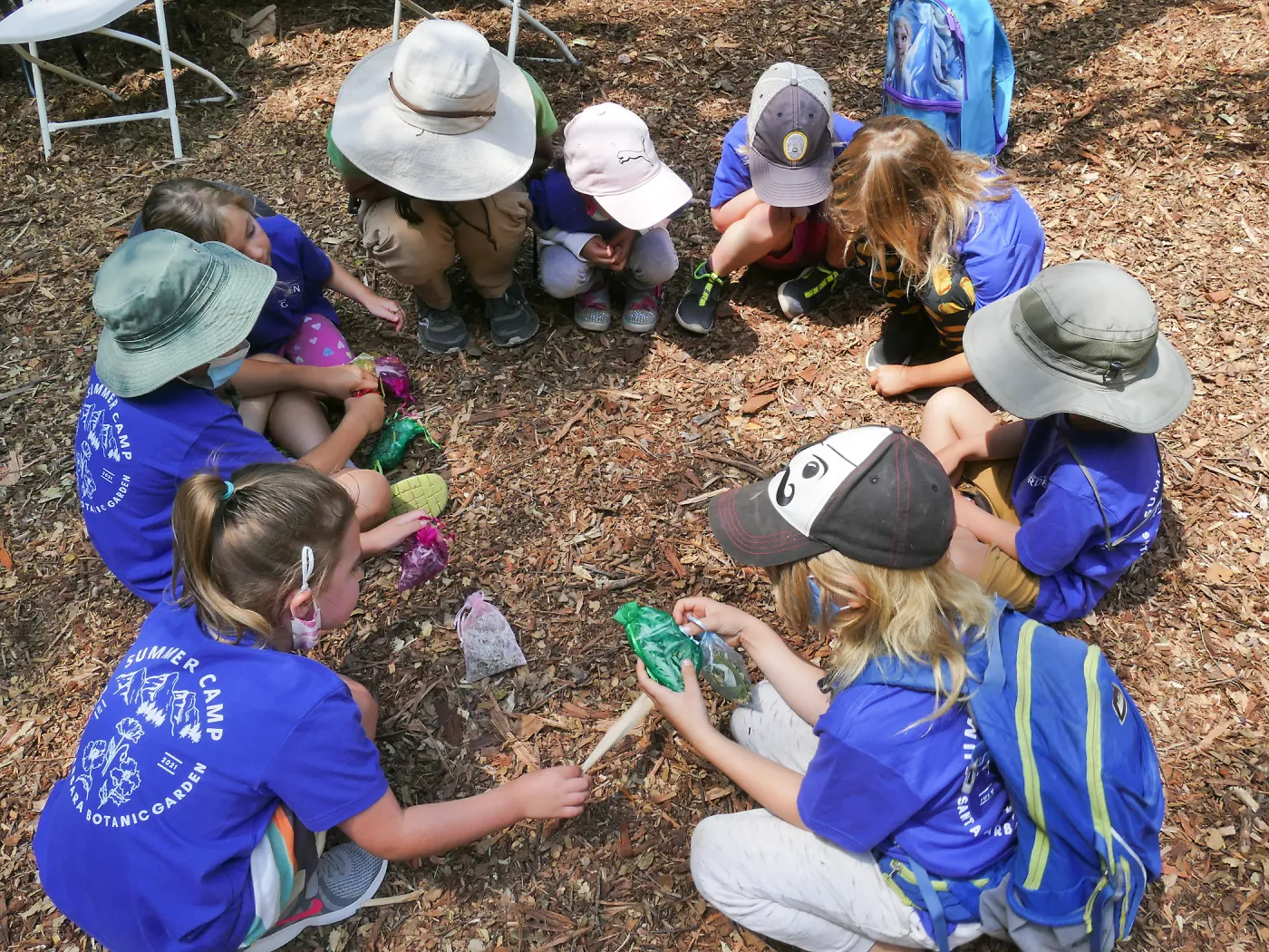 Acorn Adventurers Summer Camp, observing an insect