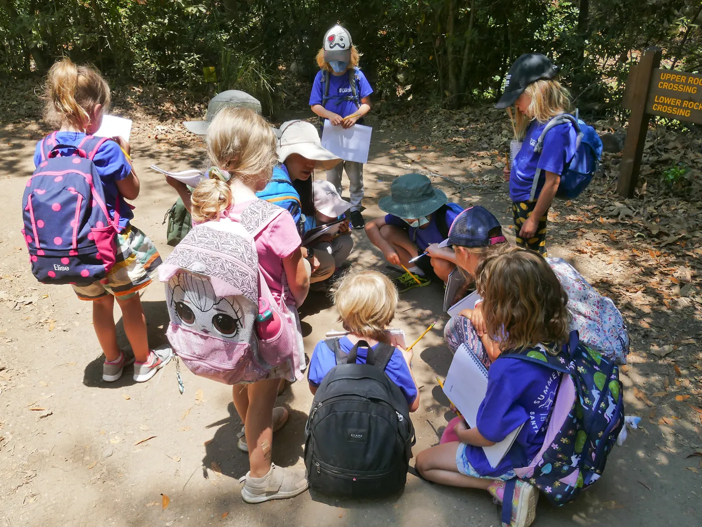 Acorn Adventurers Summer Camp, observing an insect