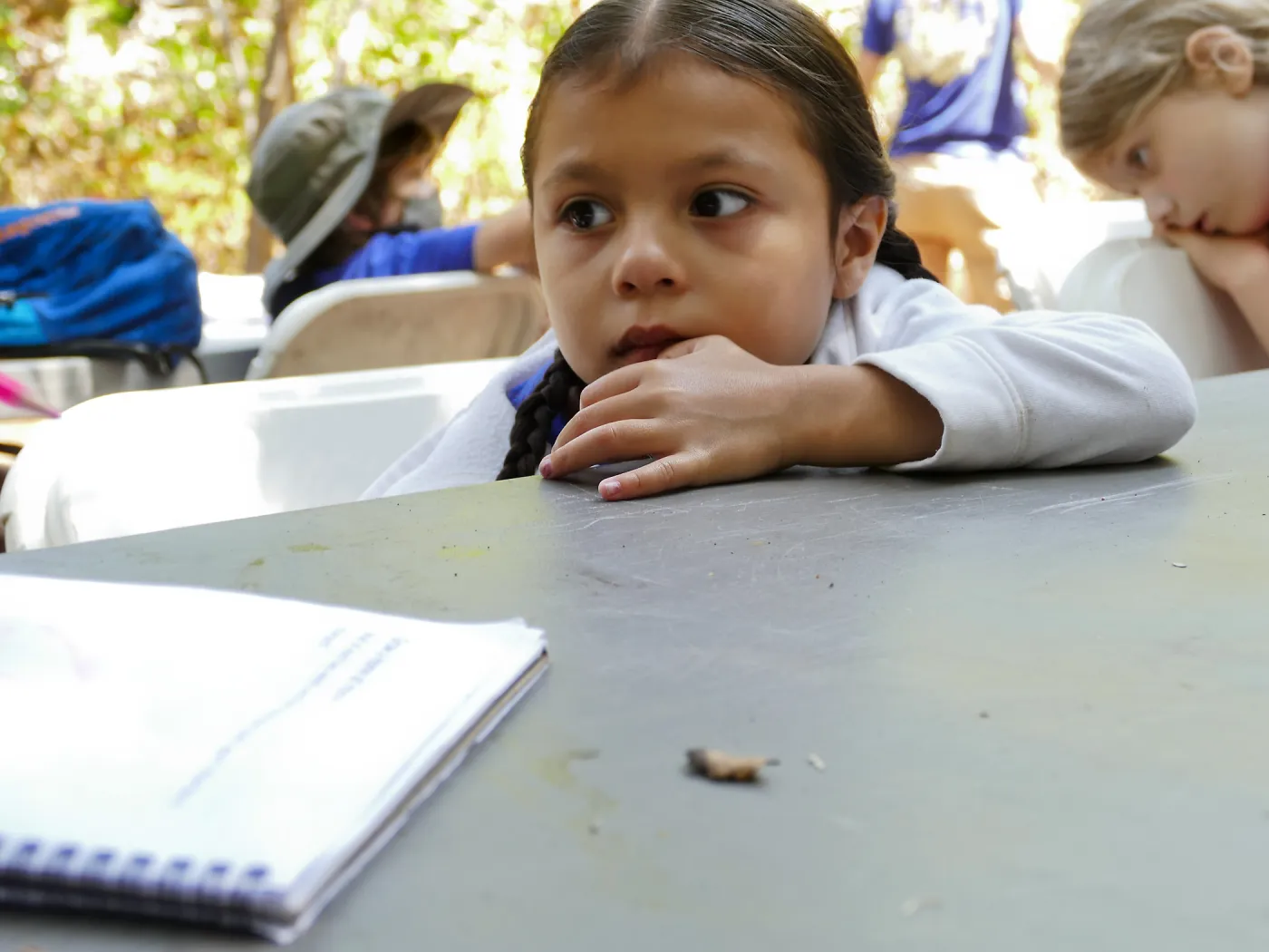 Acorn Adventurers Summer Campers