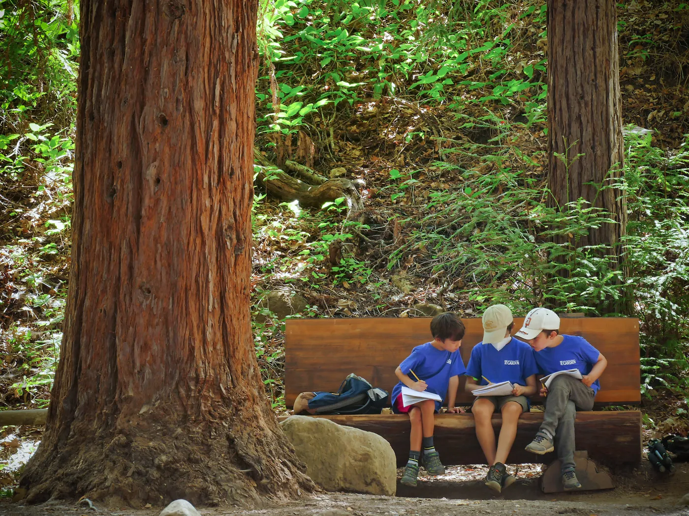 Plantastic Problem Solvers Summer Camp, biomimicry journaling activity