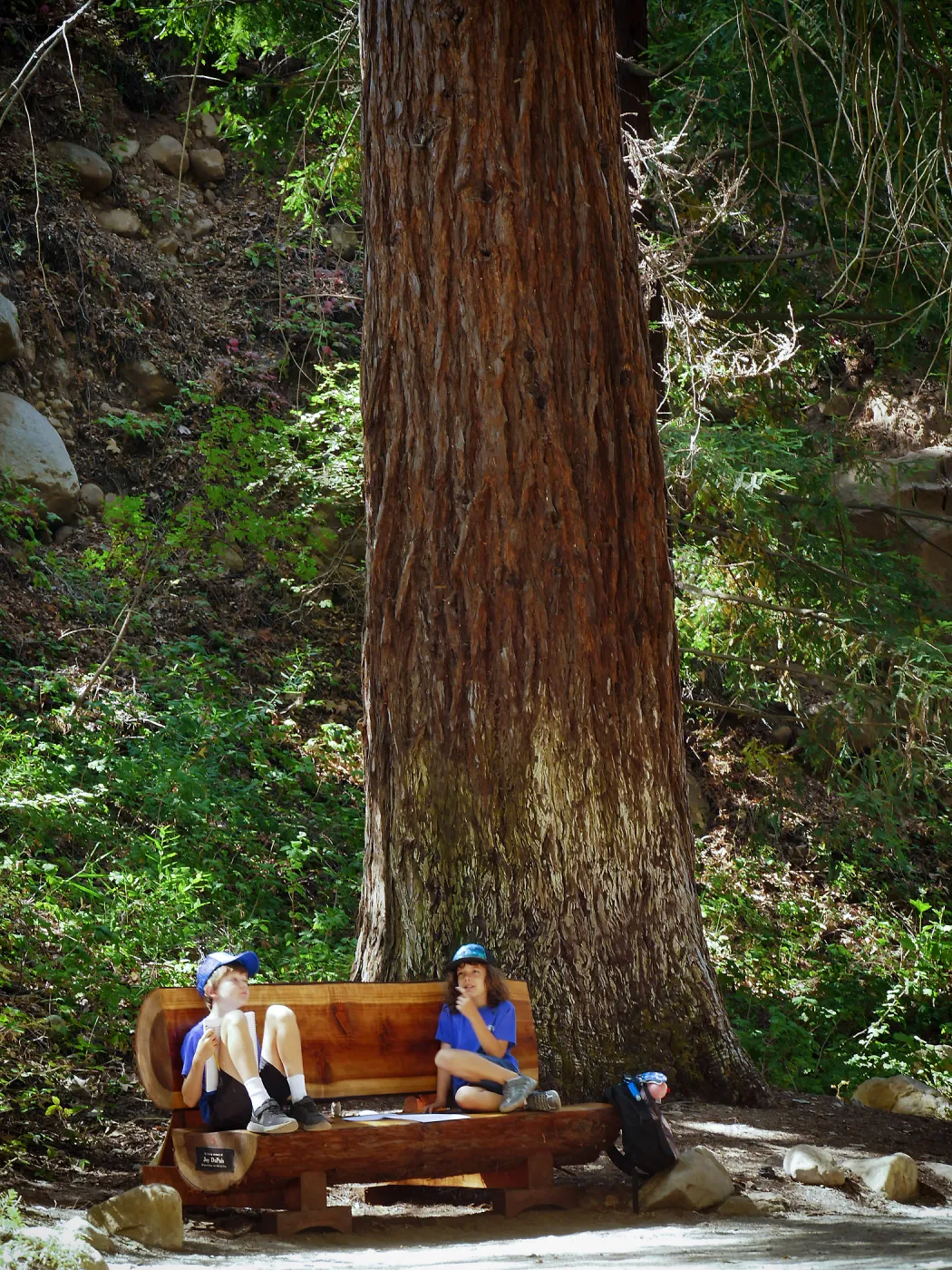 Plantastic Problem Solvers Summer Camp, biomimicry journaling activity