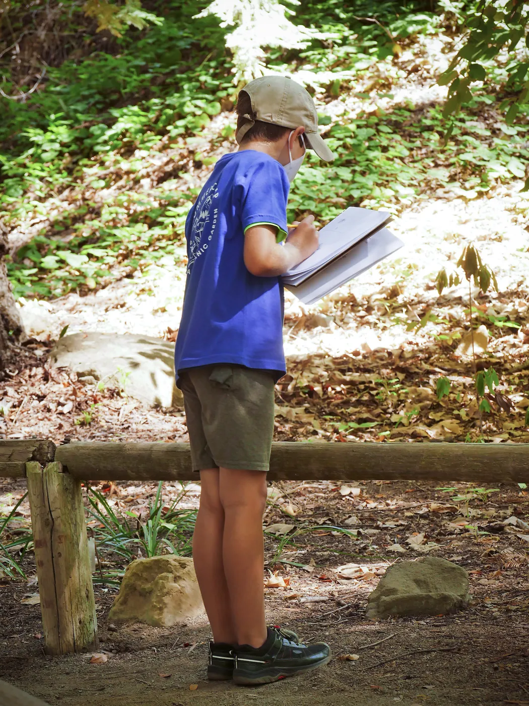 Plantastic Problem Solvers Summer Camp, biomimicry journaling activity