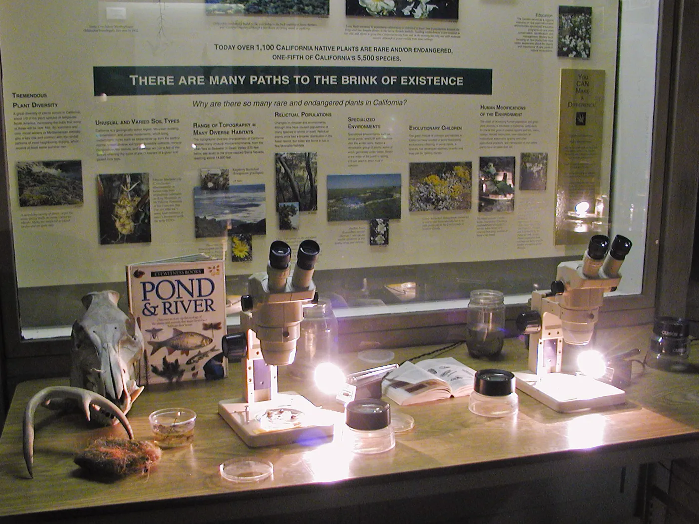 Great Garden Nature Night, Lab in Information Kiosk