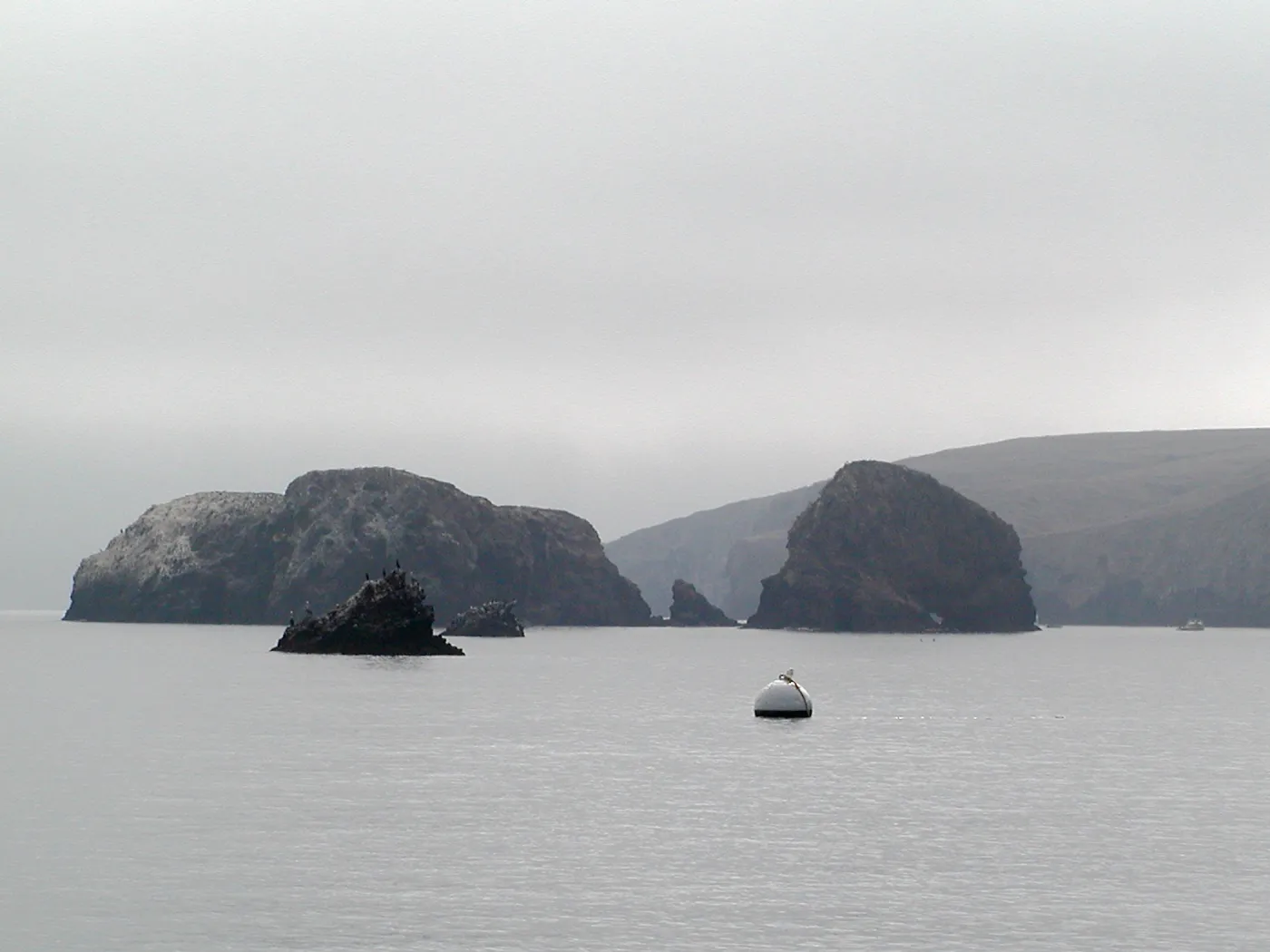 Santa Barbara Island trip, Island & buoy