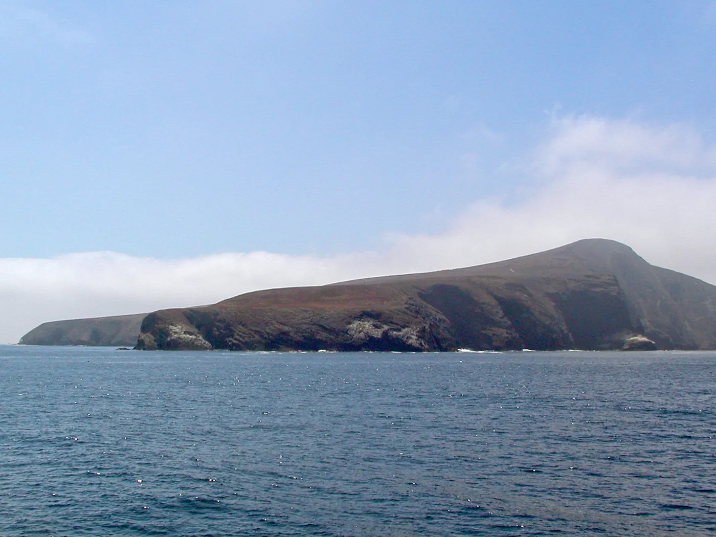 Santa Barbara Island trip 