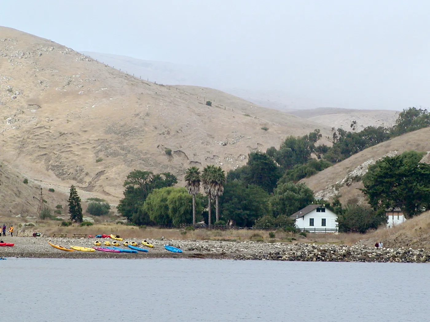 Santa Barbara Island trip 