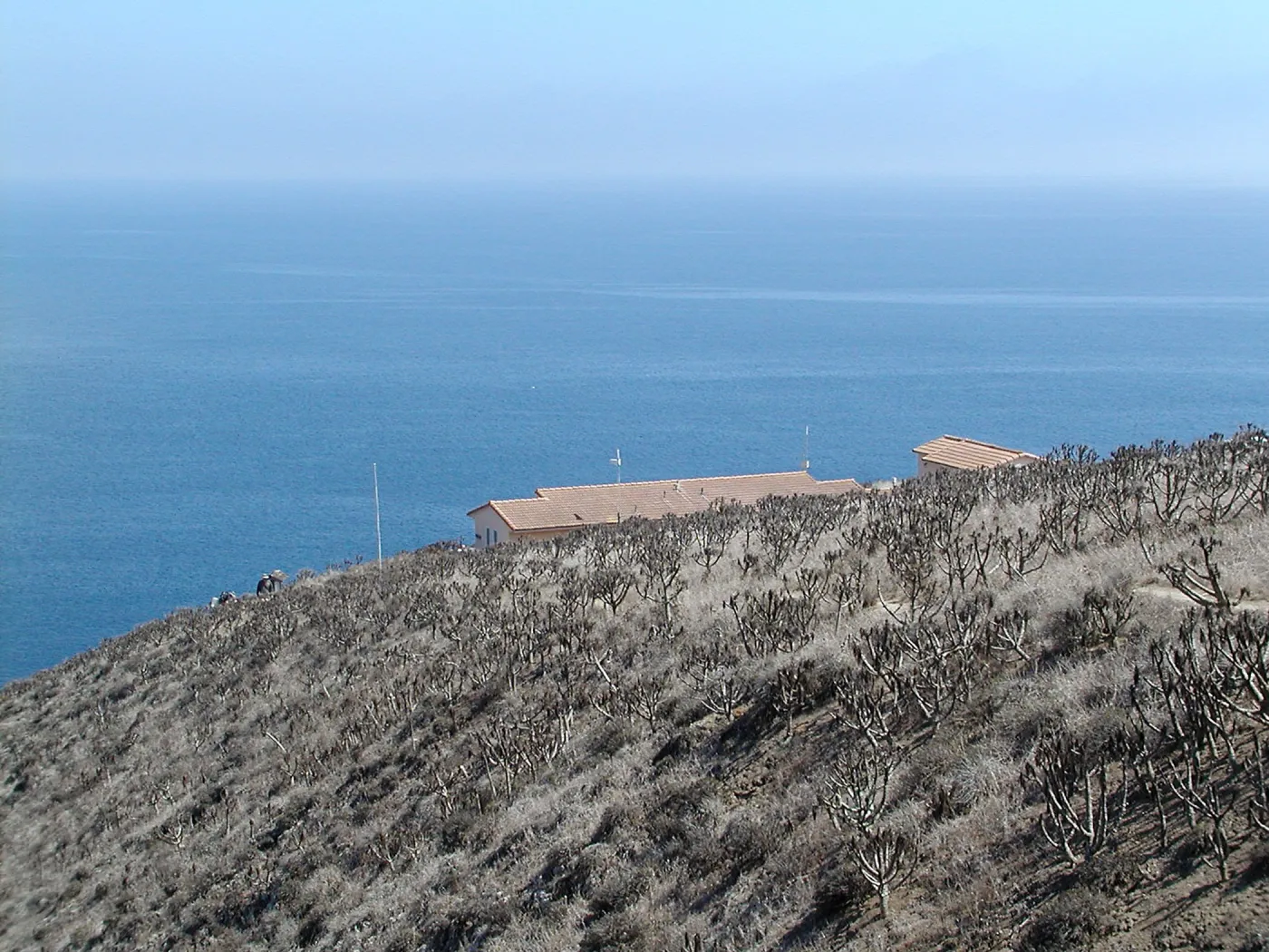 Santa Barbara Island trip 