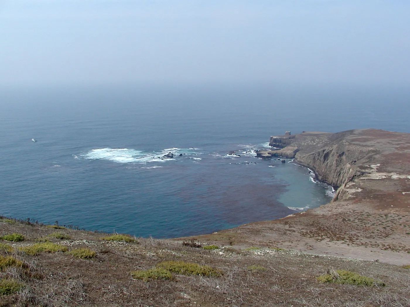 Santa Barbara Island Trip