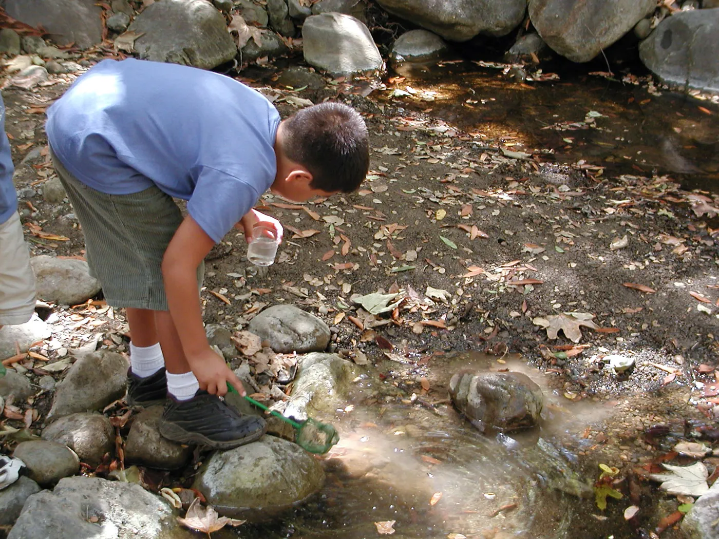Summer Camp 2003, looking for creatures in Mission Creek