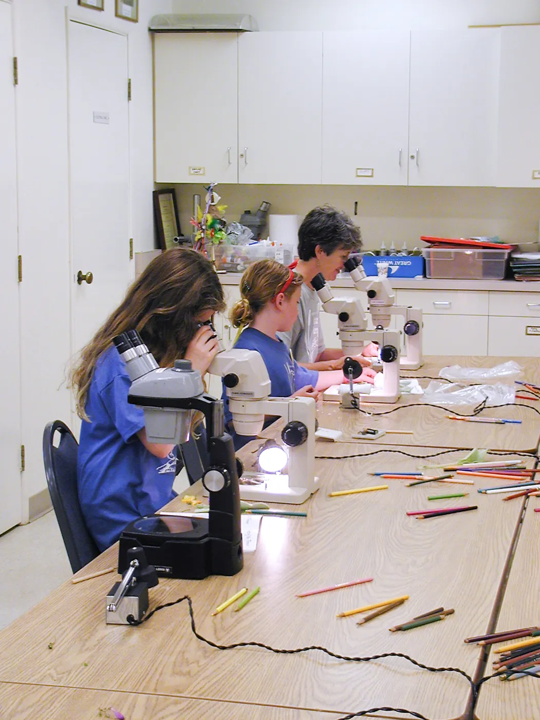Summer Camp 2003, parts of a flower lab