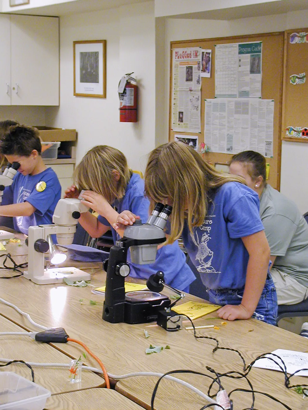 Summer Camp 2003, parts of a flower lab