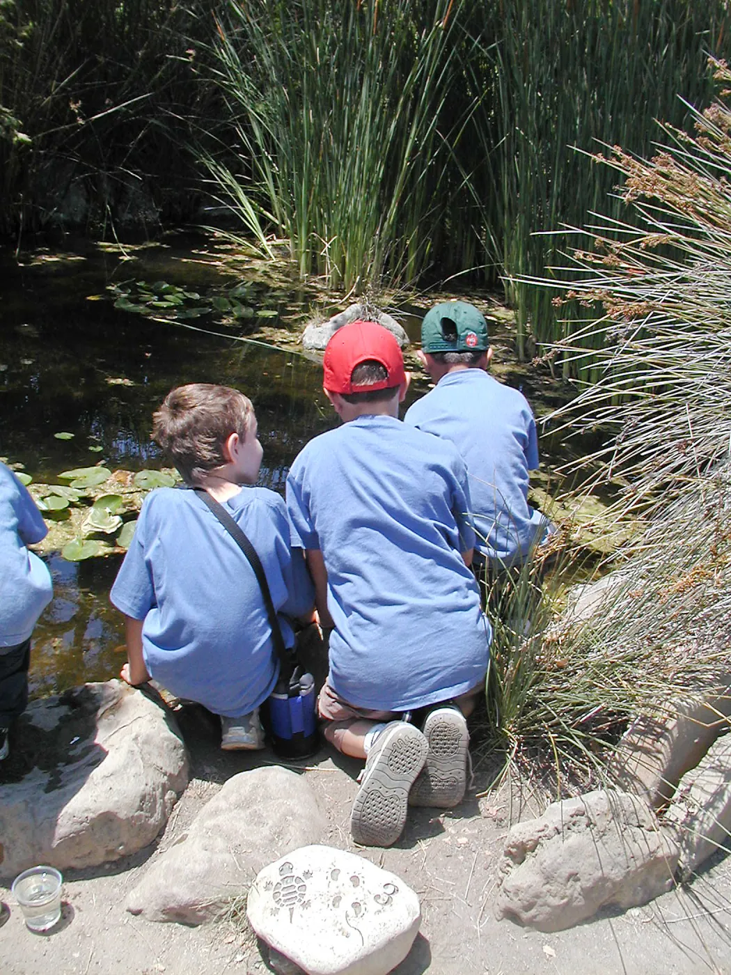 Summer Camp 2003, looking for creatures in the Pond