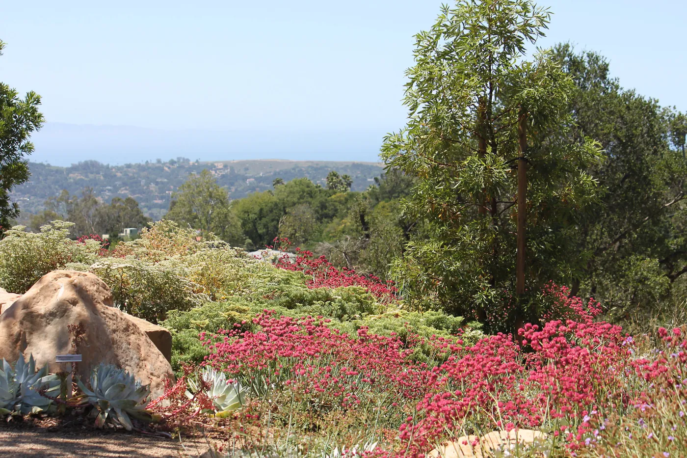 Island View Garden