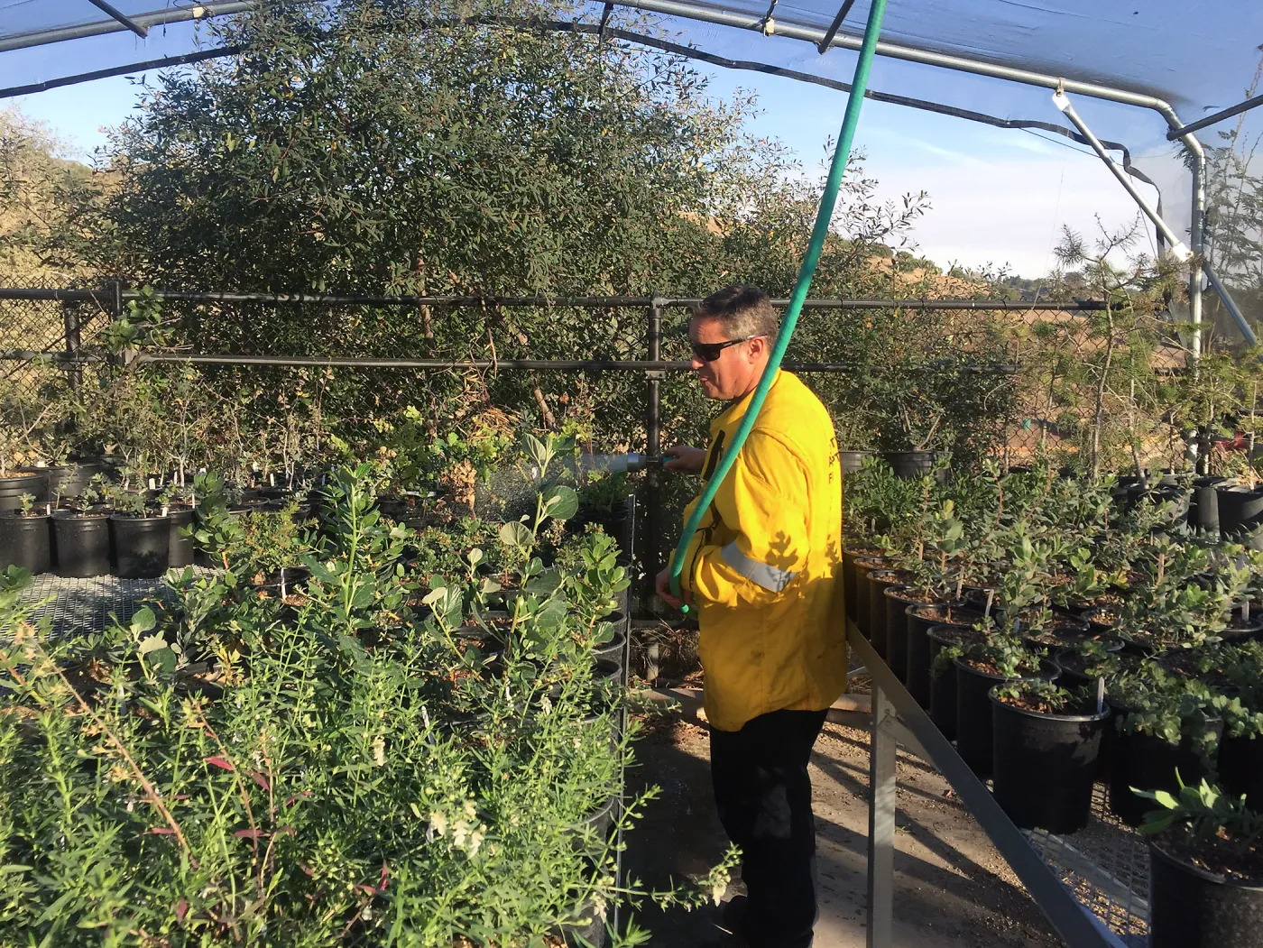 Captain Chris Deamos of the L.A. County Fire Department watering plants at the Horticulture Unit during the Thomas Fire