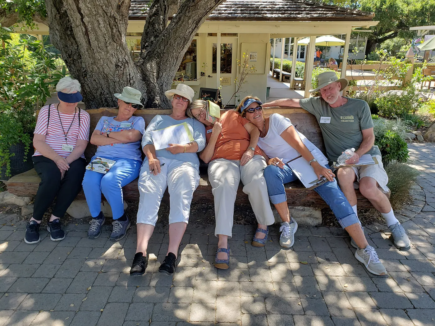 Dozing Docents
