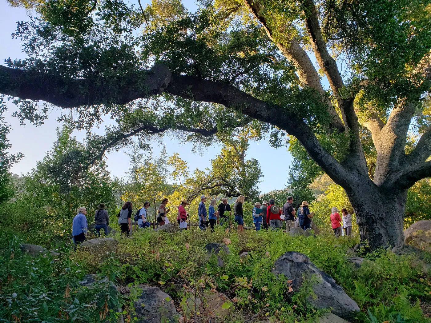 California Naturalist class with Susie Bartz