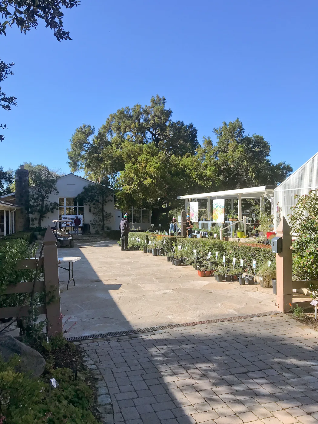 Gardenâ€™s 95th Birthday display