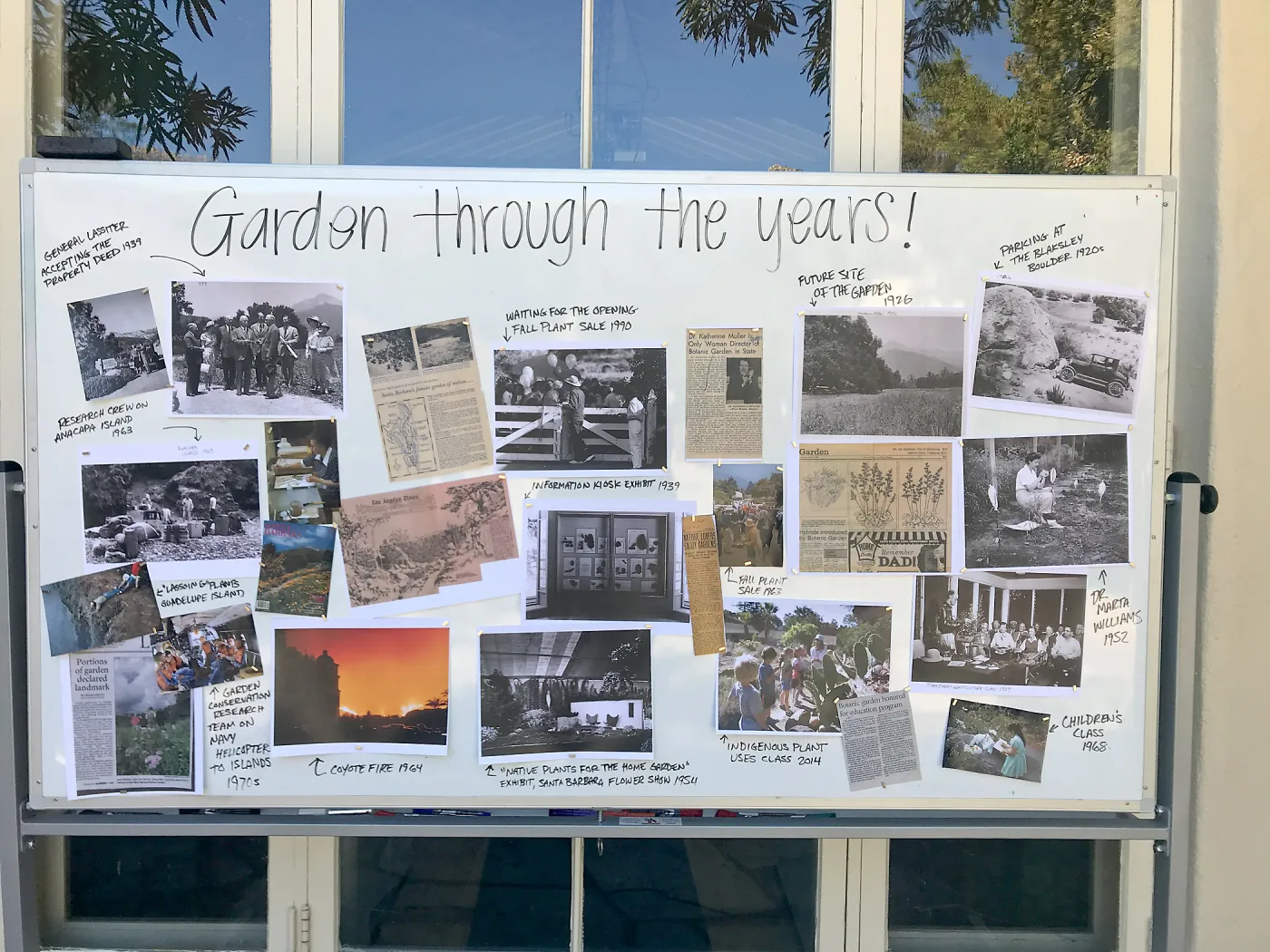 Gardenâ€™s 95th Birthday display