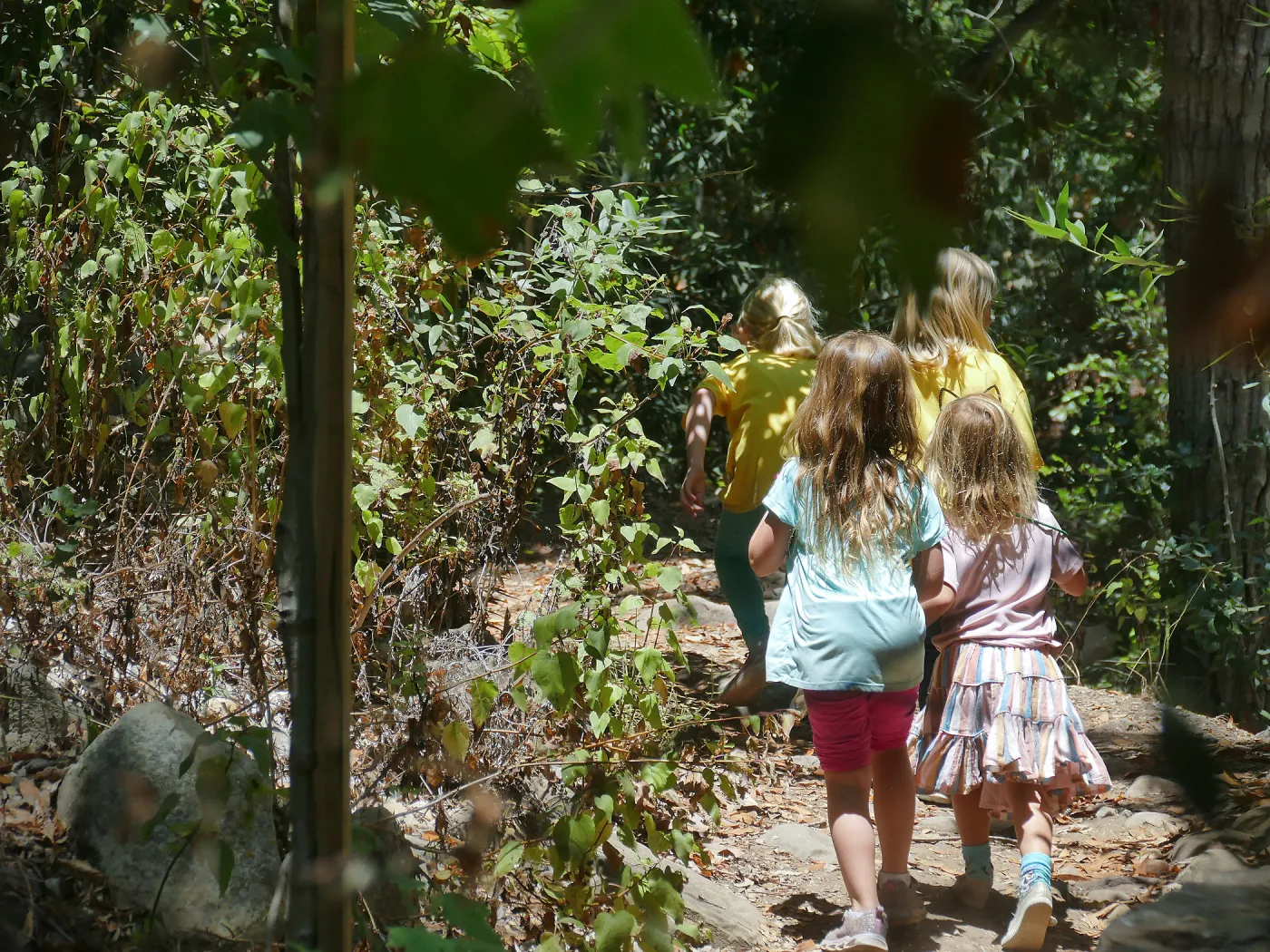 Acorn Adventurers Summer Camp