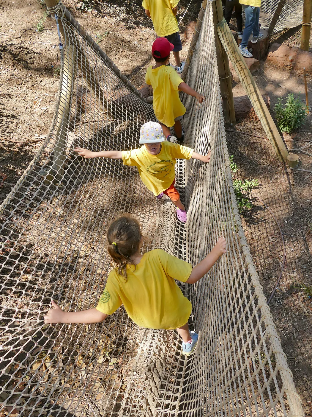 Create in Nature Summer Camp