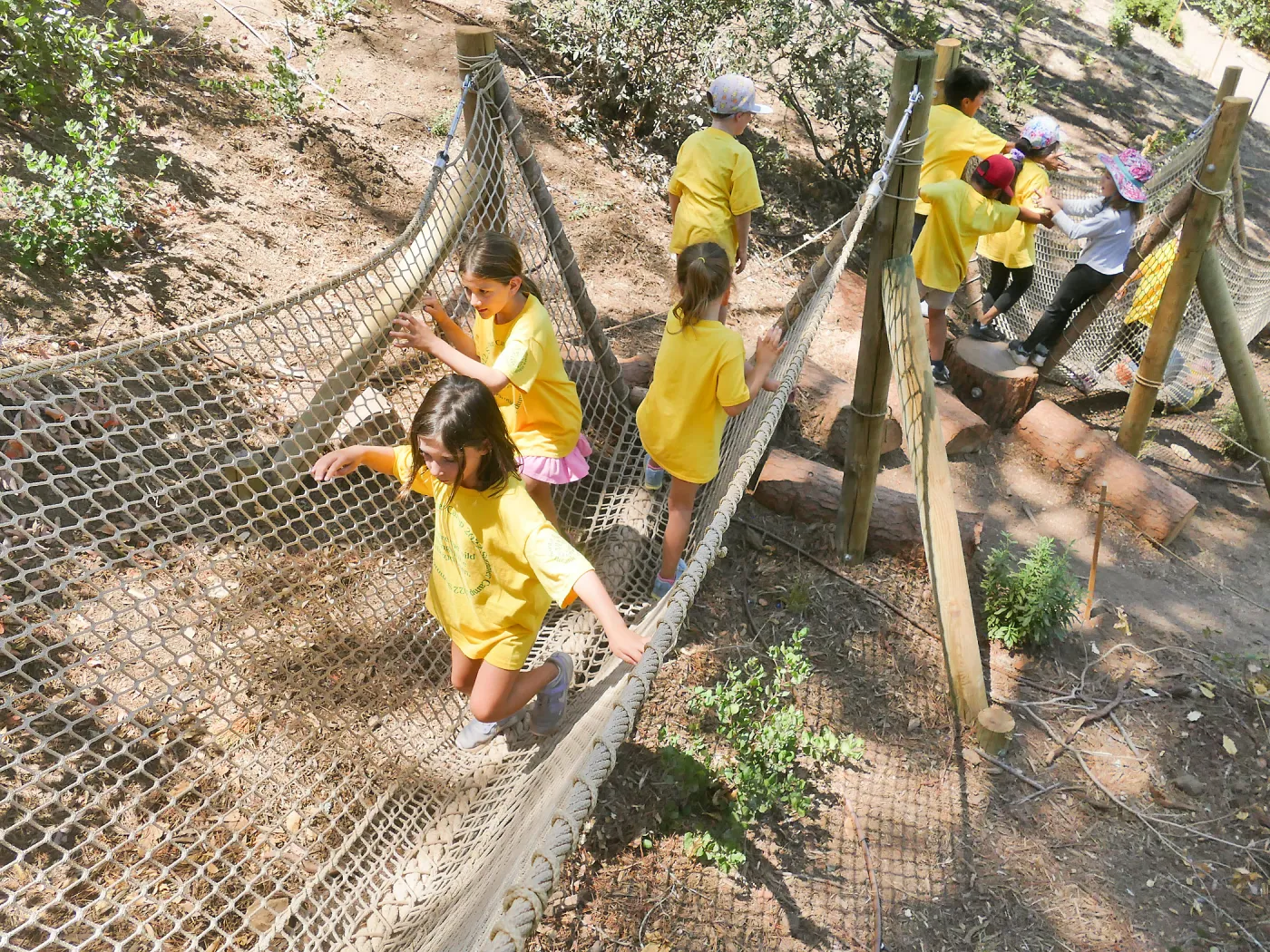 Create in Nature Summer Camp