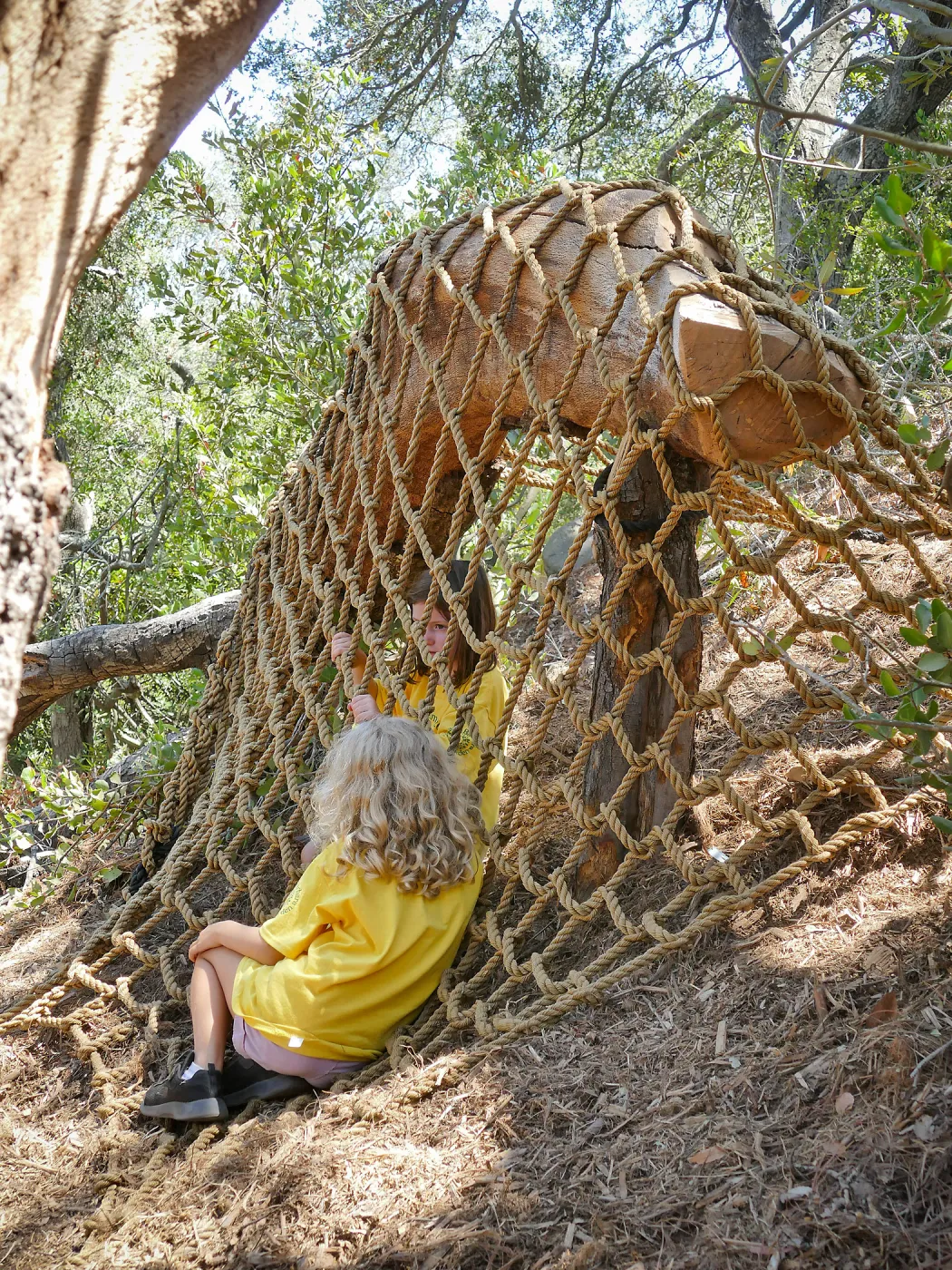 Create in Nature Summer Camp