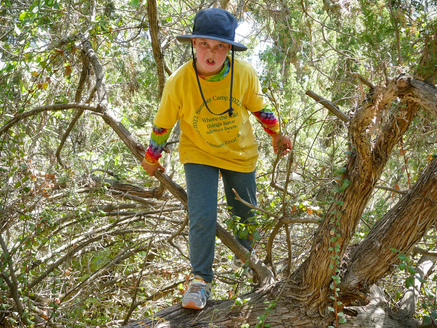 Create in Nature Summer Camp