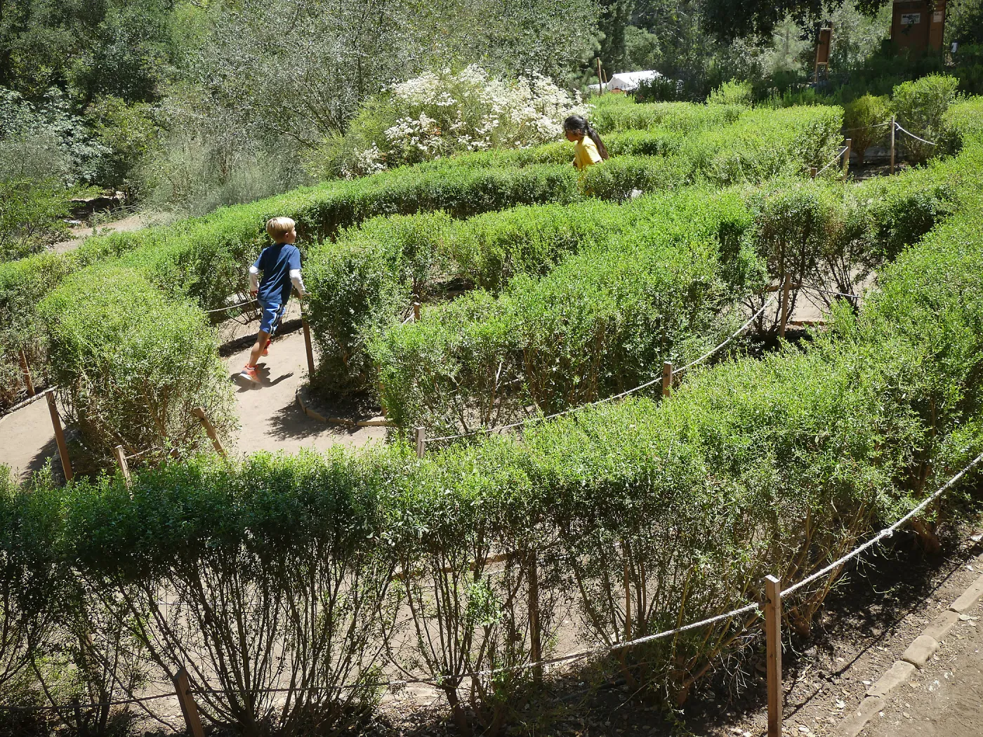 Create in Nature Summer Campers at the Centennial Maze