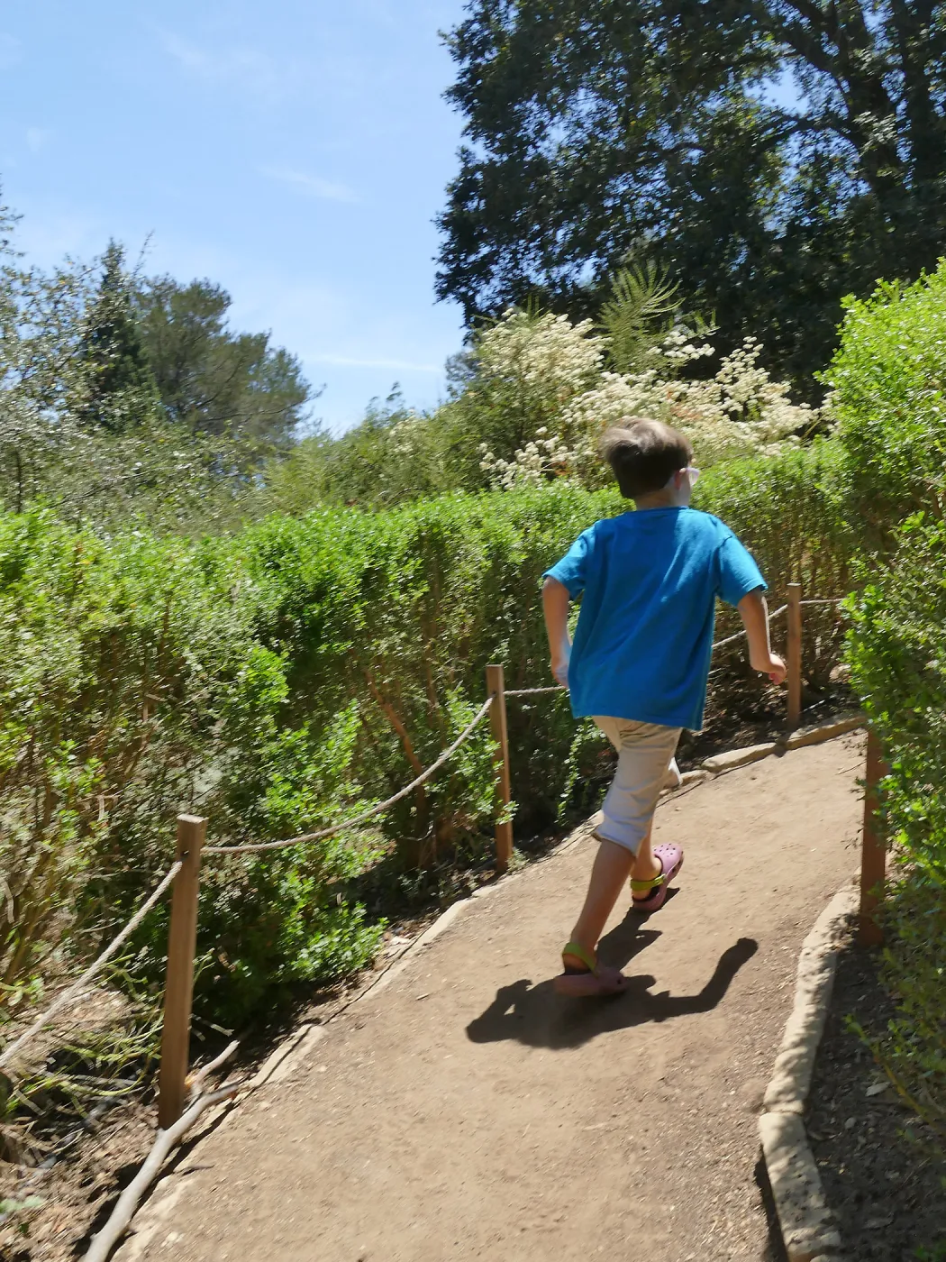 Create in Nature Summer Campers at the Centennial Maze