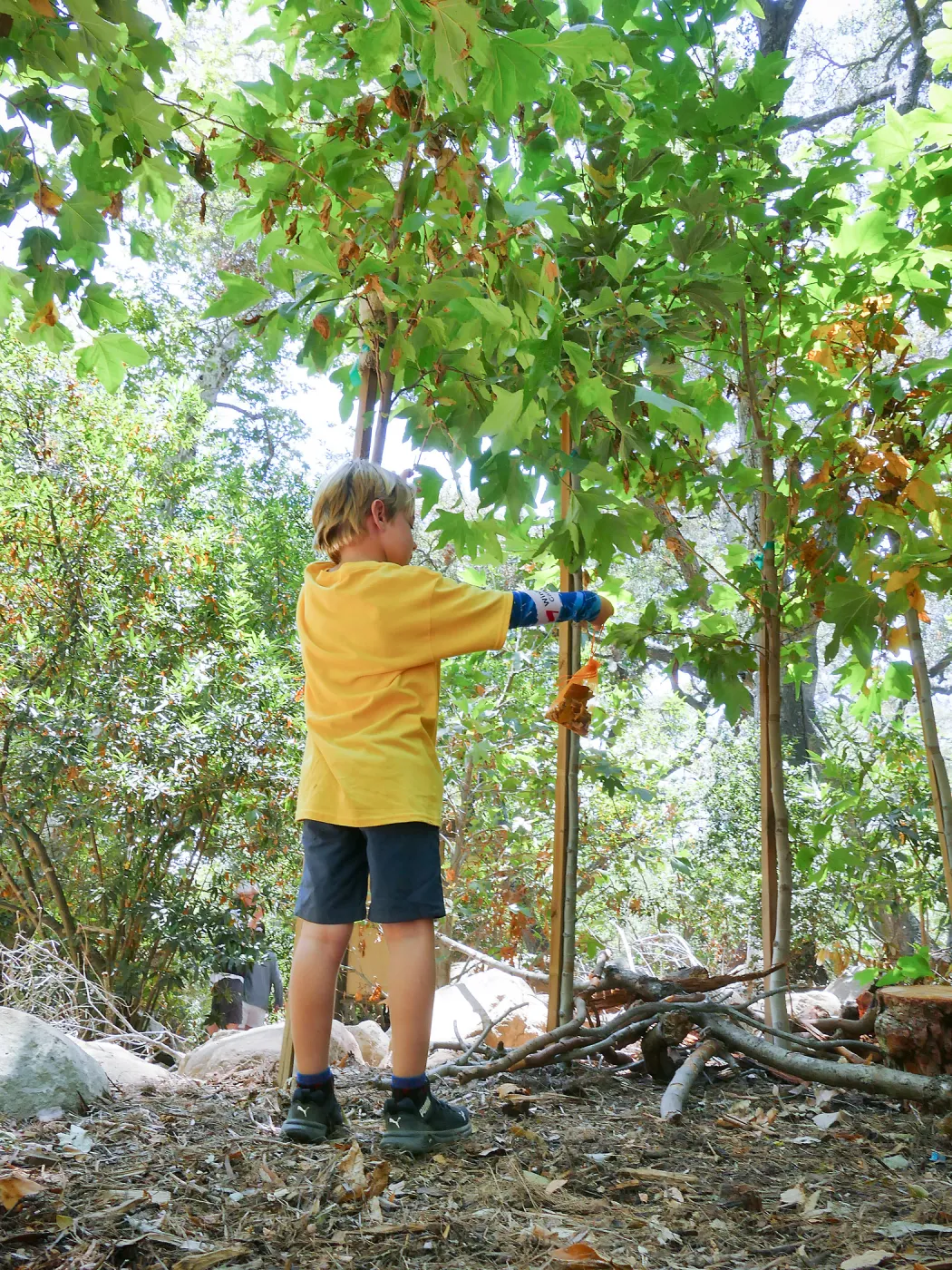 Acorn Adventurers Summer Camp