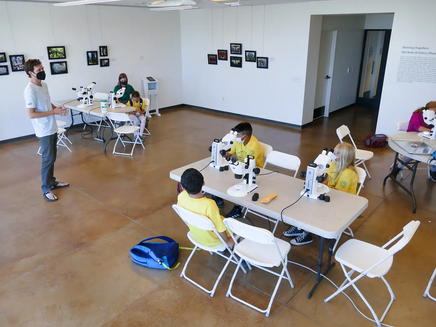 Jr. Naturalist Summer Camp Seed Characteristics Activity
