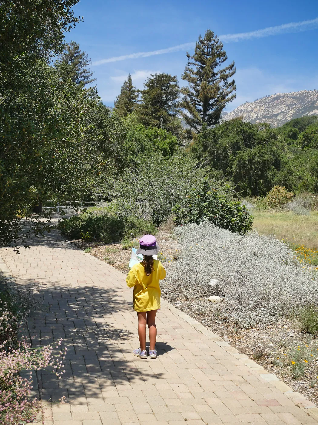 Create in Nature Summer Camp Meadow Painting Activity