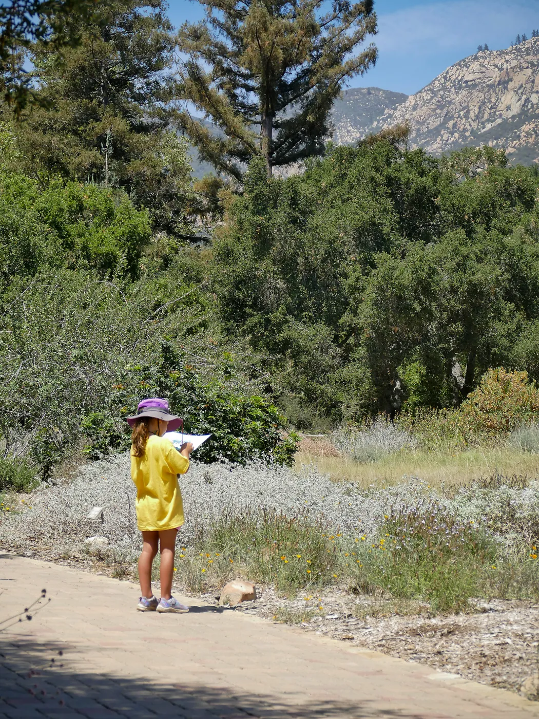 Create in Nature Summer Camp Meadow Painting Activity