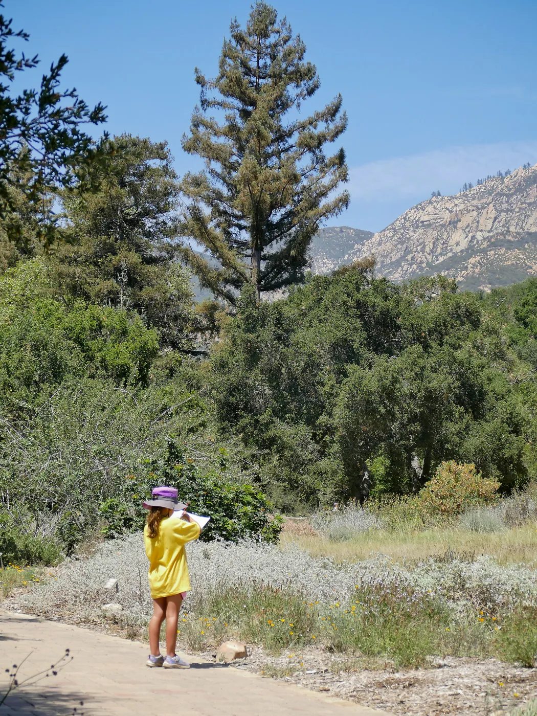 Create in Nature Summer Camp Meadow Painting Activity