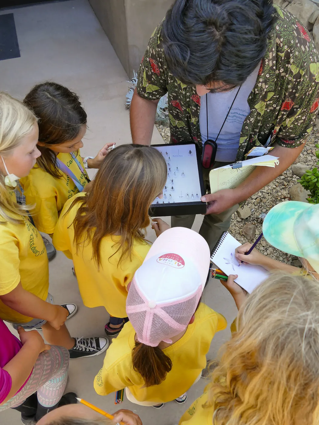 Jr. Naturalist Summer Camp Pollinator Survey Activity