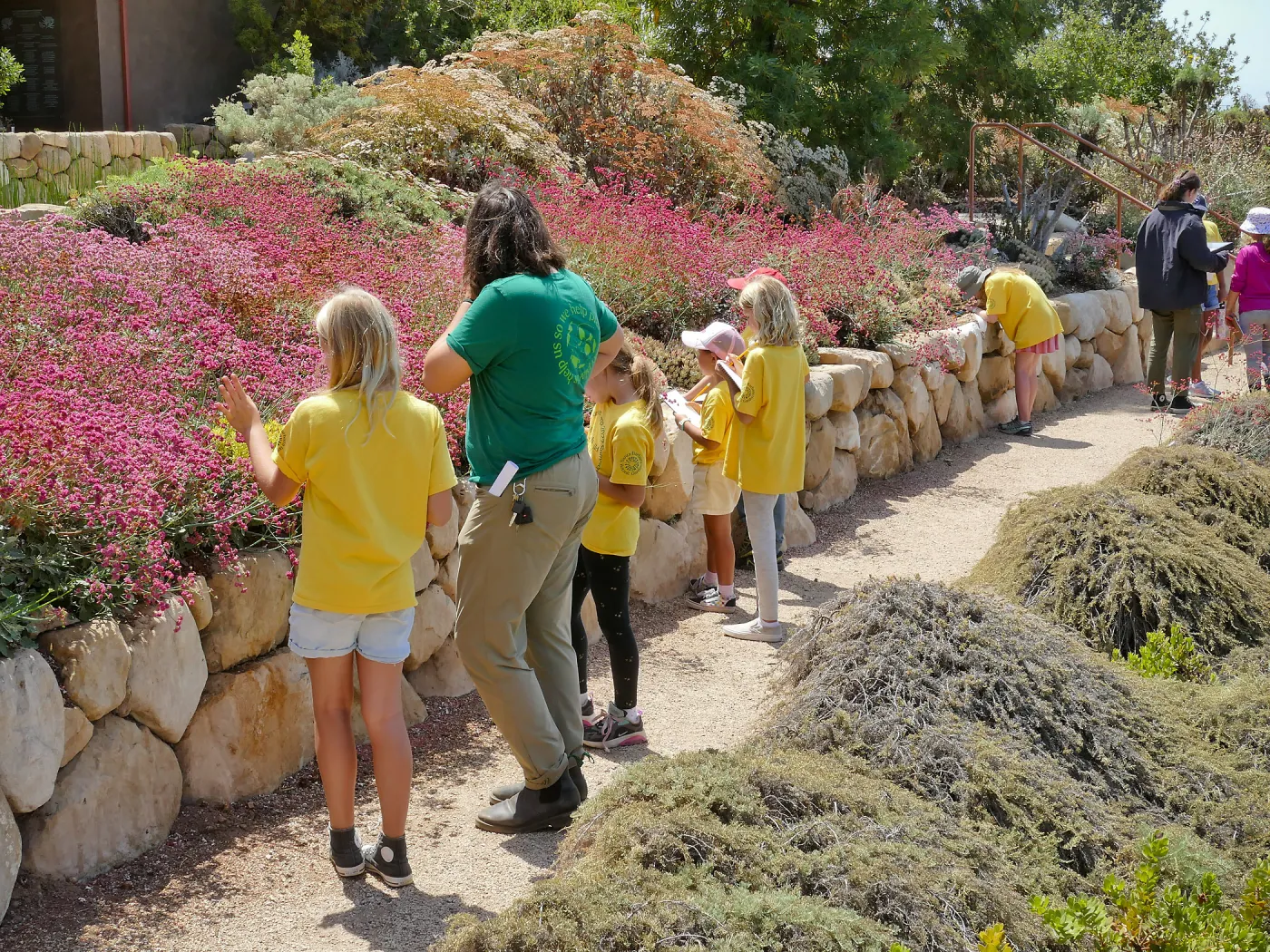 Jr. Naturalist Summer Camp Pollinator Survey Activity