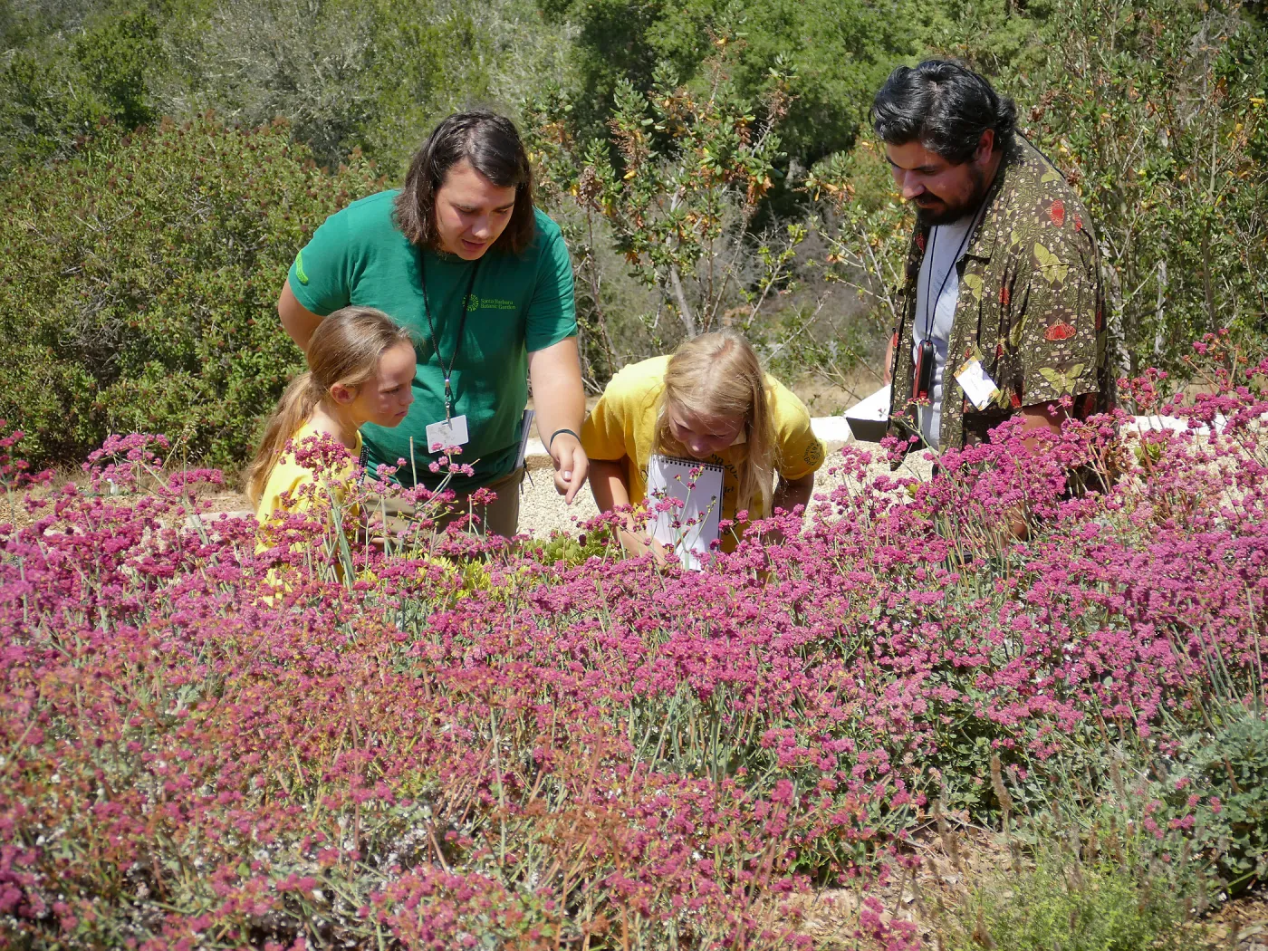 Jr. Naturalist Summer Camp Pollinator Survey Activity