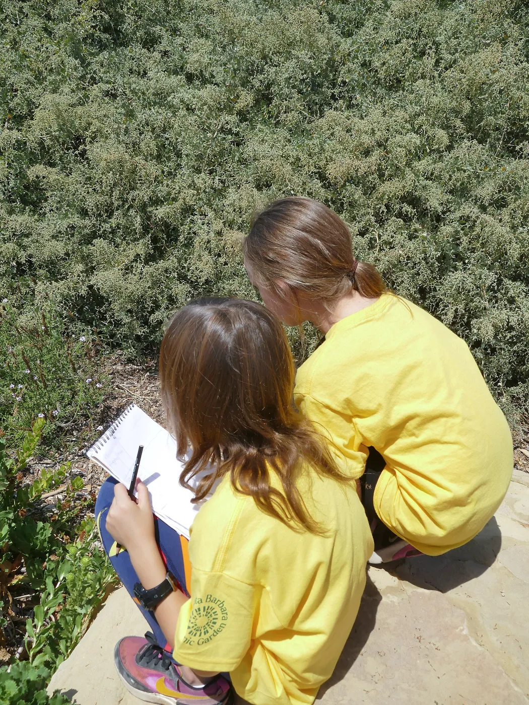 Jr. Naturalist Summer Camp Pollinator Survey Activity