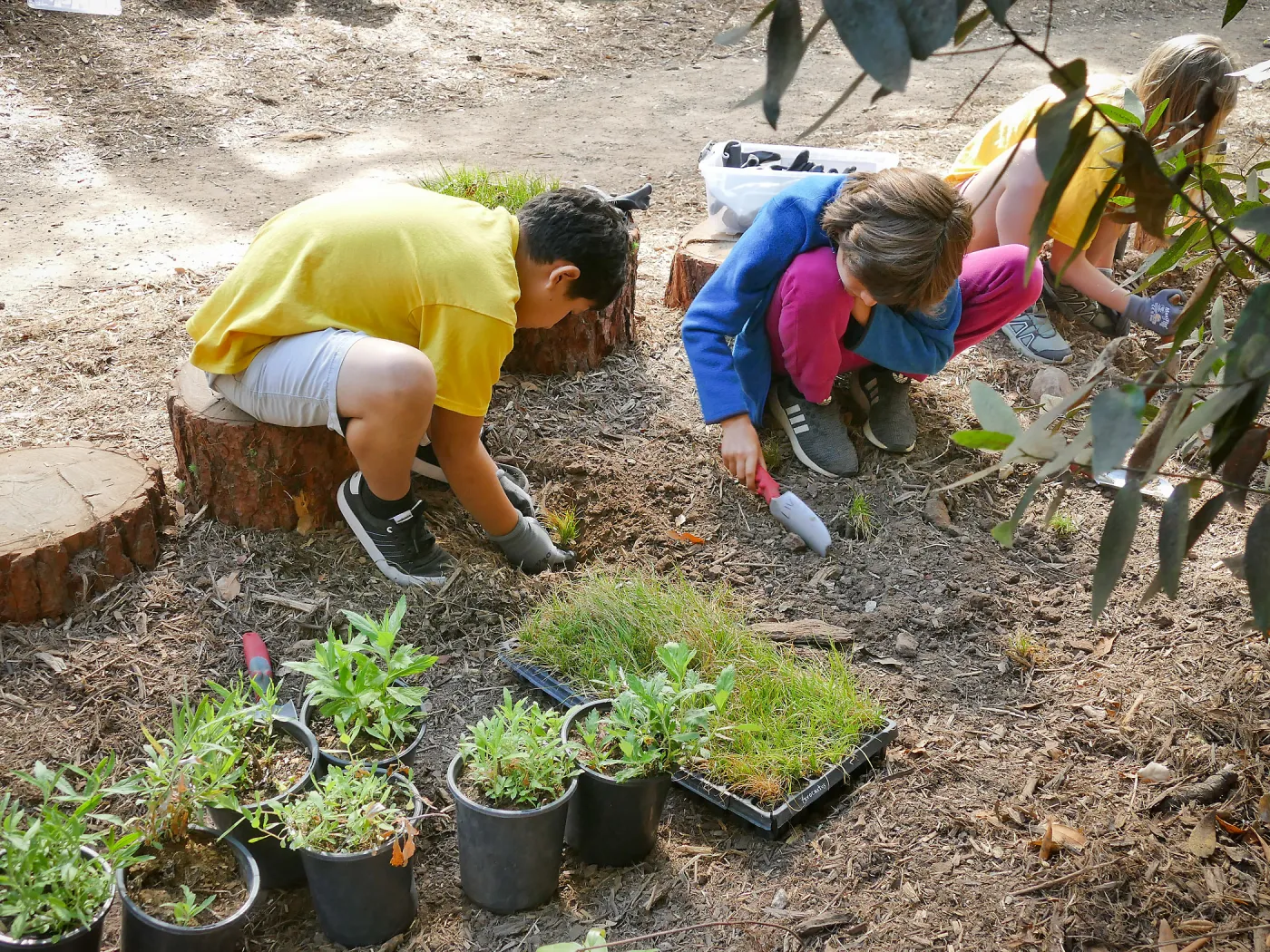 Jr. Naturalist Summer Camp Planting Activity