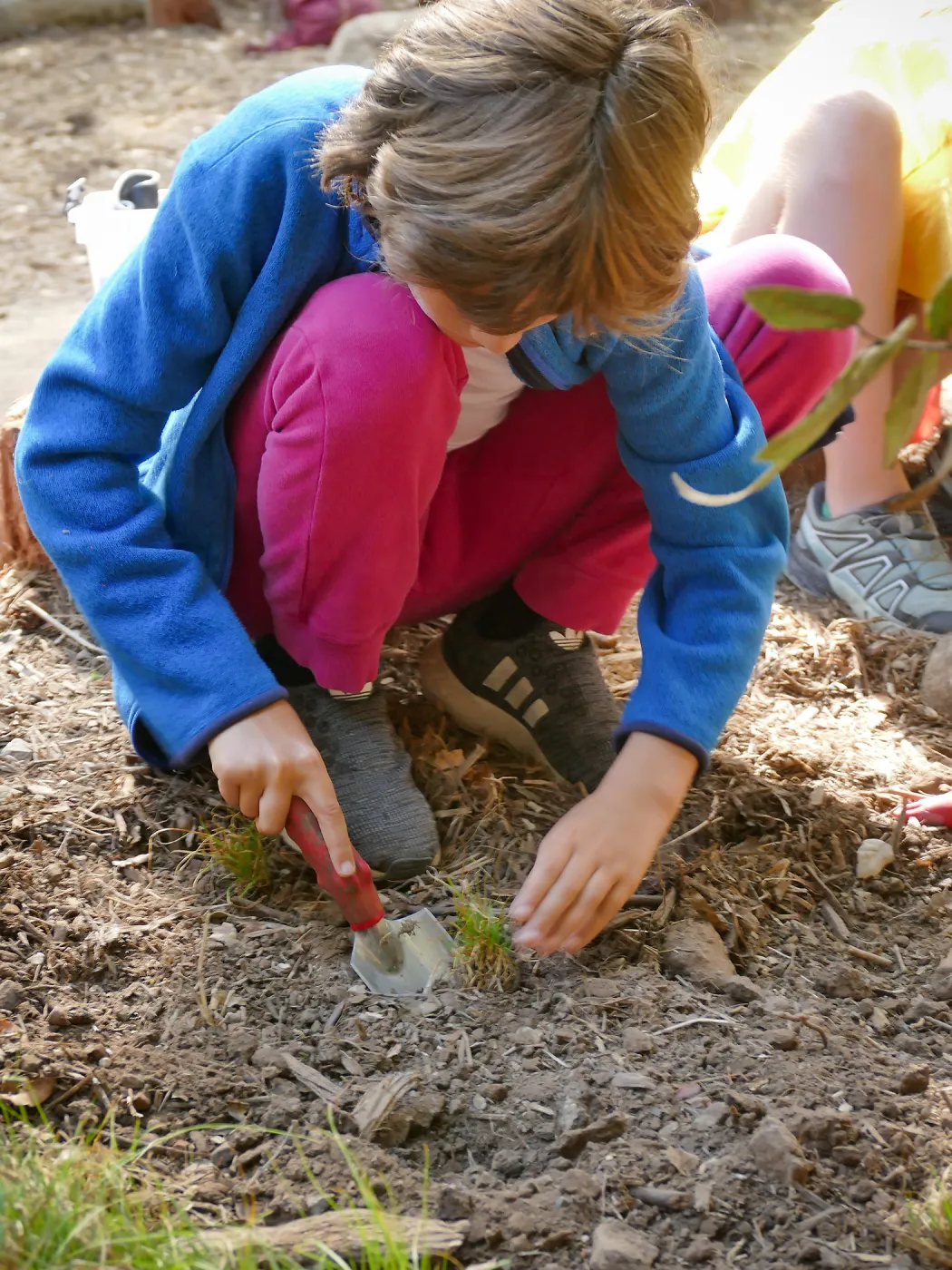 Jr. Naturalist Summer Camp Planting Activity