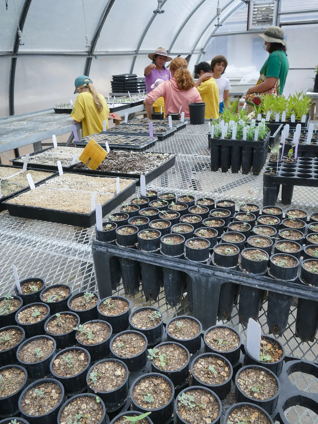 Jr. Naturalist Summer Camp Horticulture Unit Tour